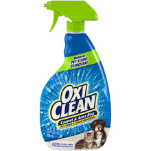 Carpet & Area Rug Pet Stain & Odor Remover, 24oz