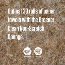 Greener Clean Non-Scratch Scrub Sponge, 6 Count