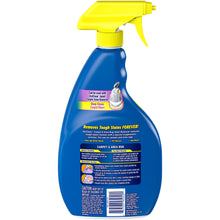 Carpet & Area Rug Stain Remover Spray, 24 oz.