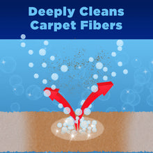 Carpet & Area Rug Pet Stain & Odor Remover, 24oz