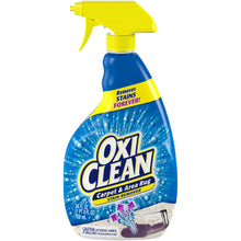 Carpet & Area Rug Stain Remover Spray, 24 oz.