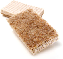 Greener Clean Non-Scratch Scrub Sponge, 6 Count